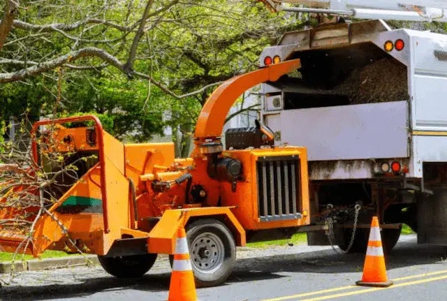 tree removal westchester ny