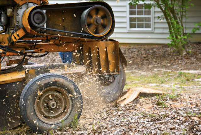 stump grinding westchester ny